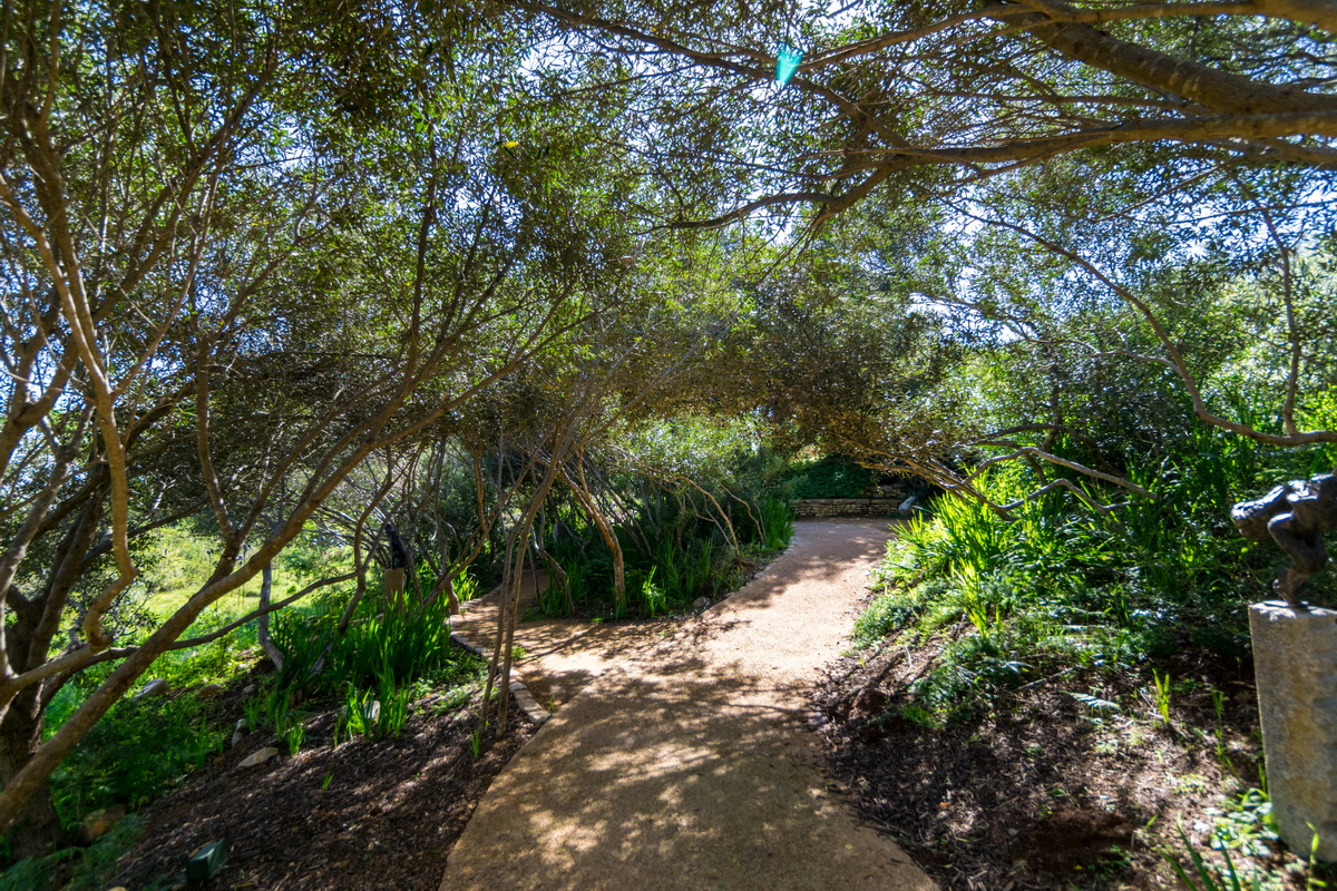 Artists Garden