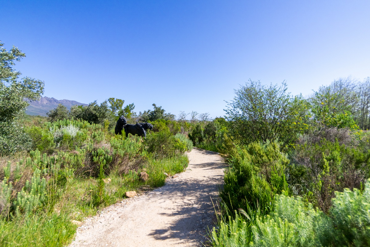 Artists Garden