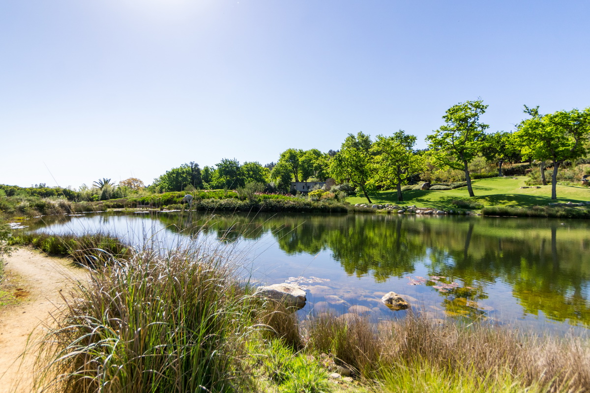 Artists Garden