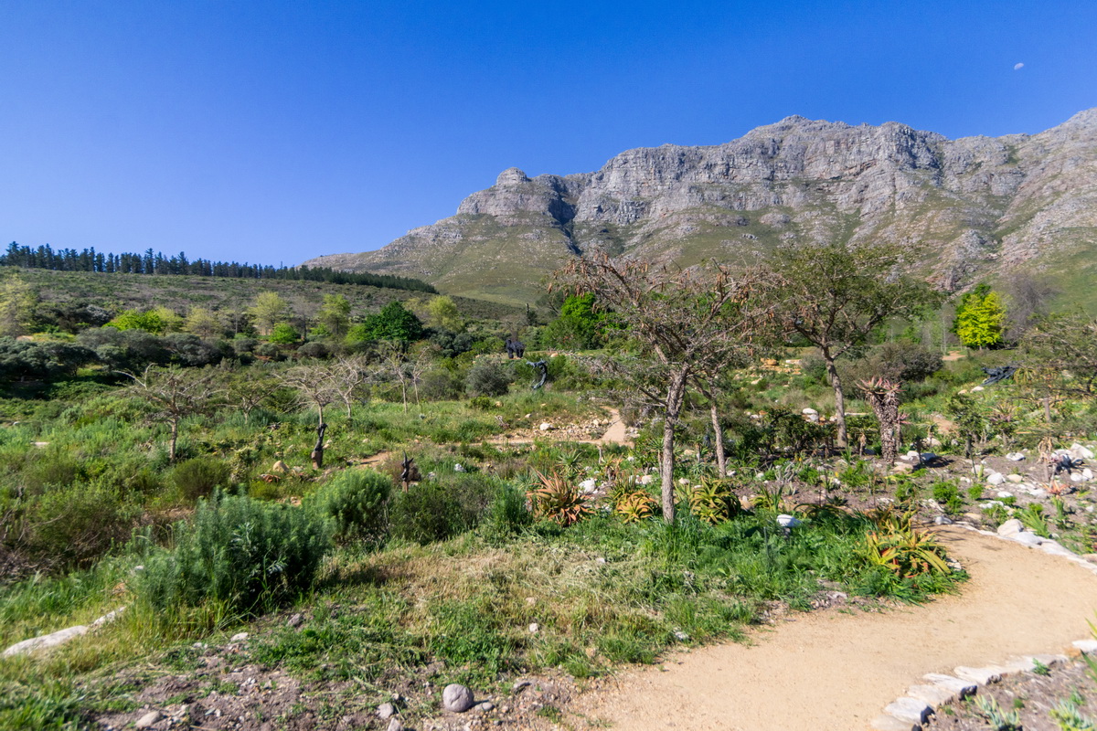 Artists Garden