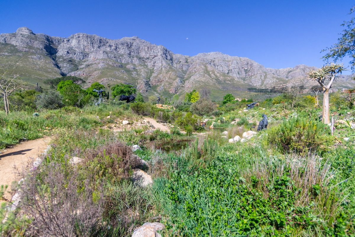 Artists Garden