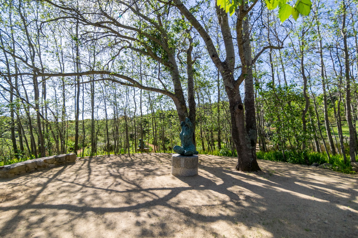 Artists Garden