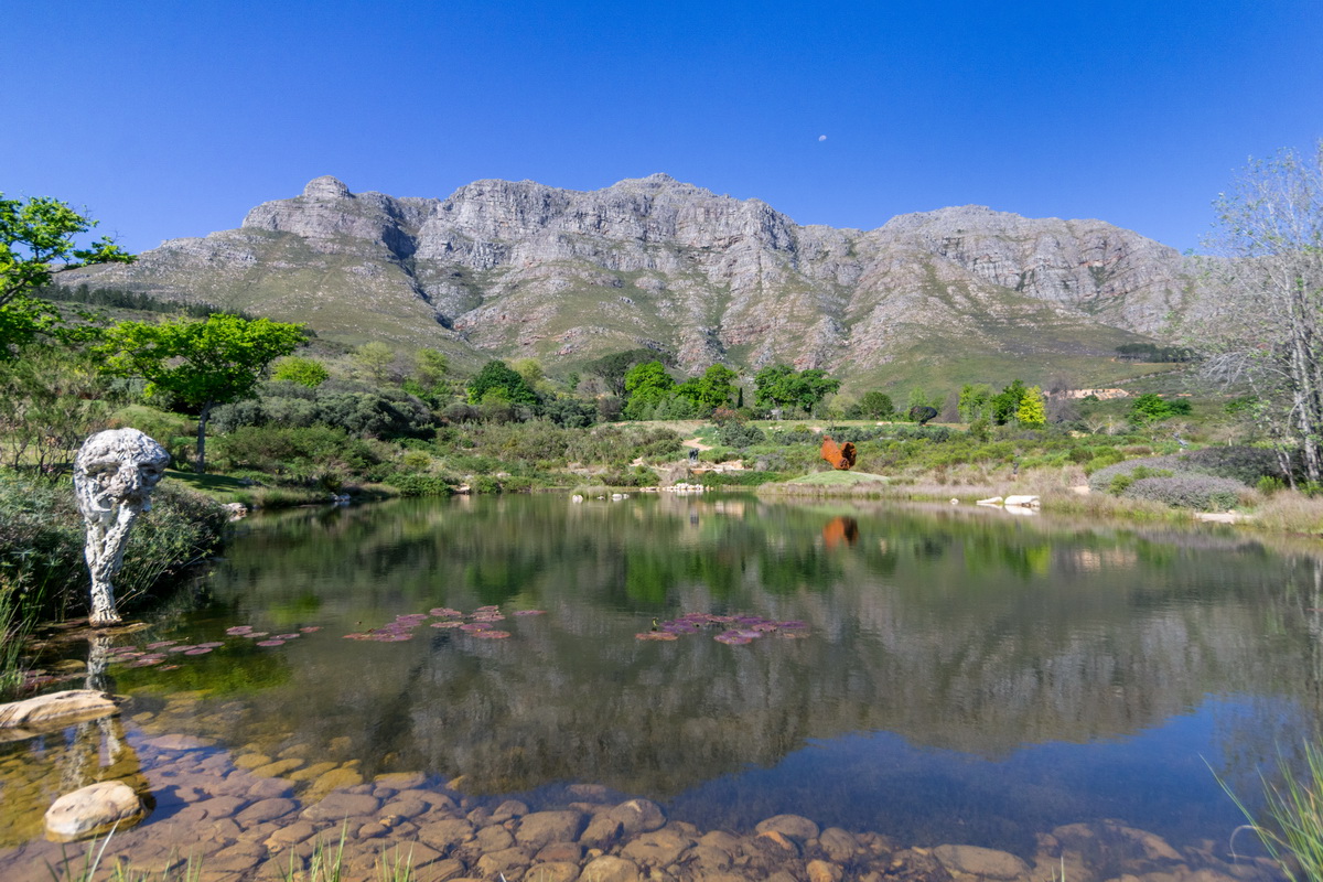 Artists Garden