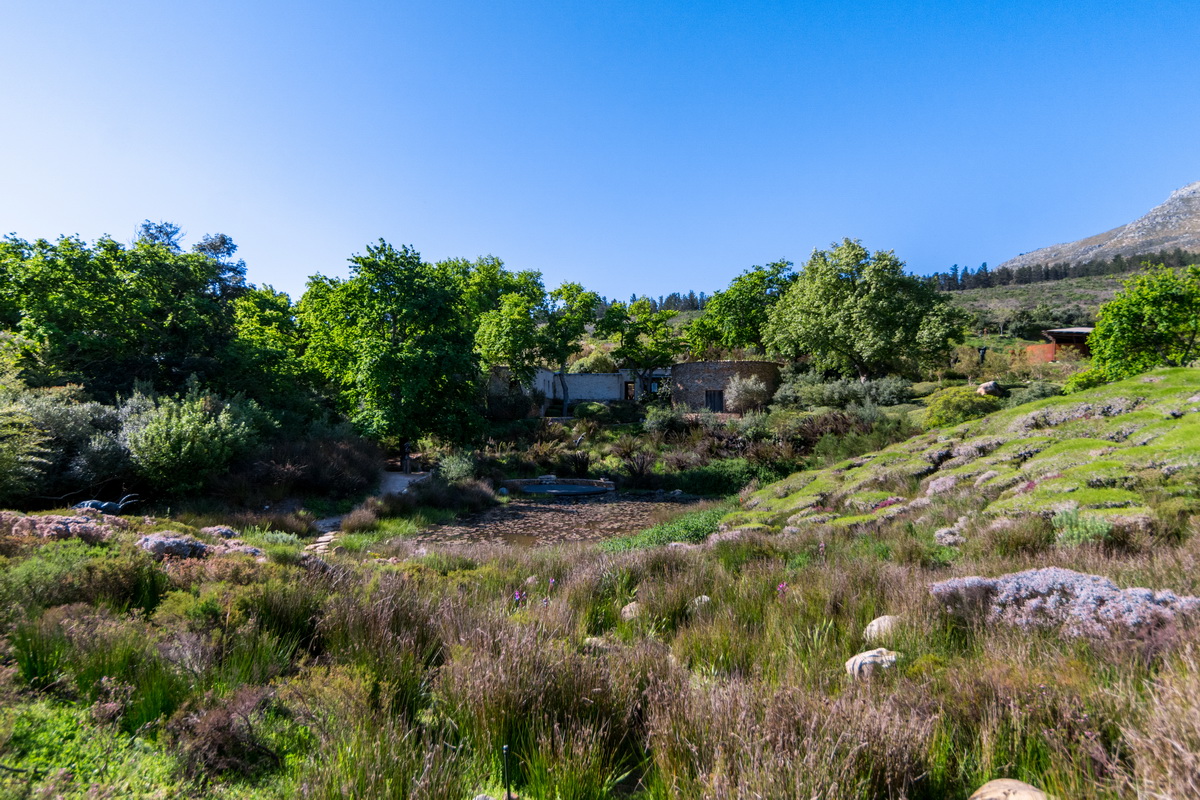 Artists Garden