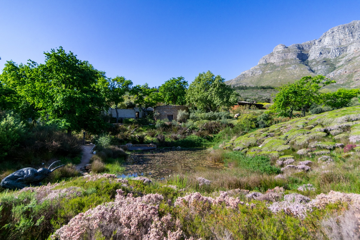 Artists Garden