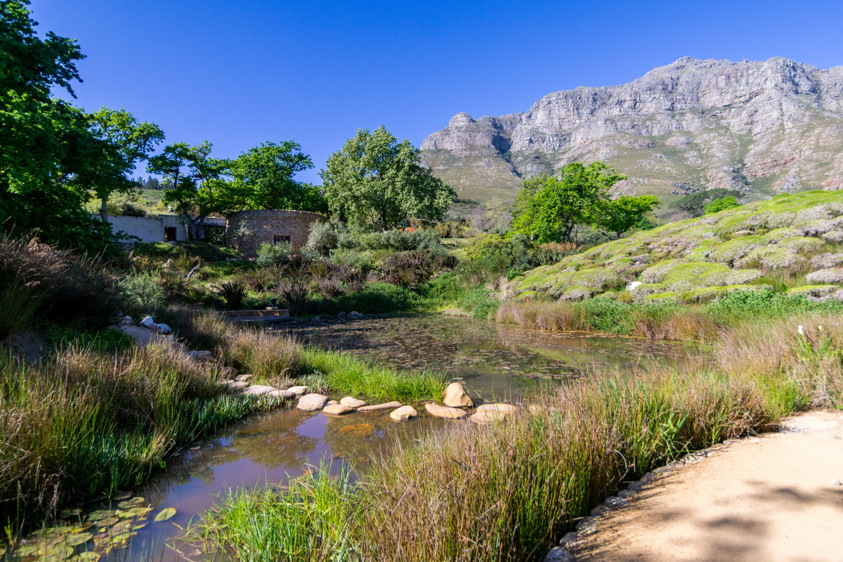 Artists Garden