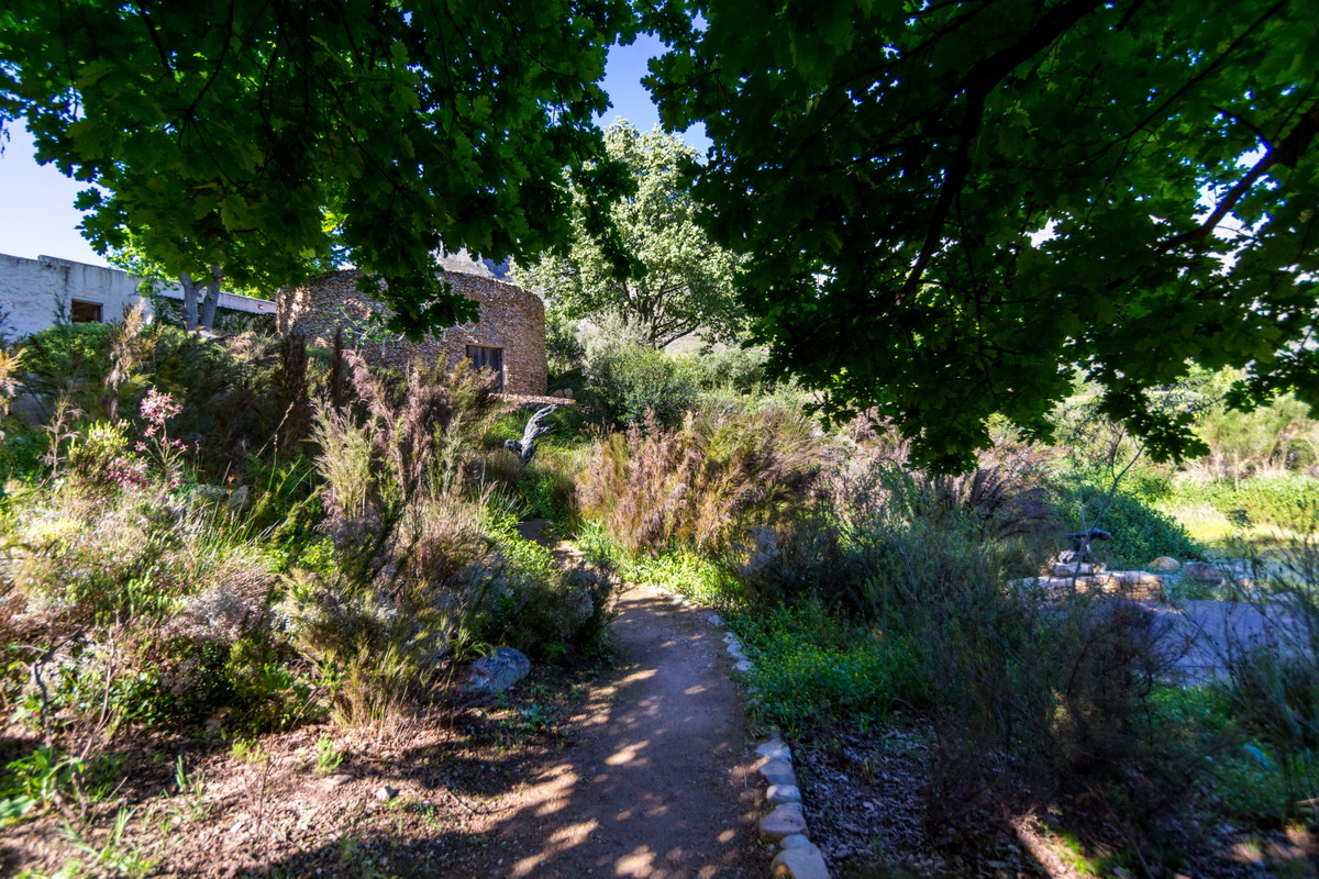 Artists Garden