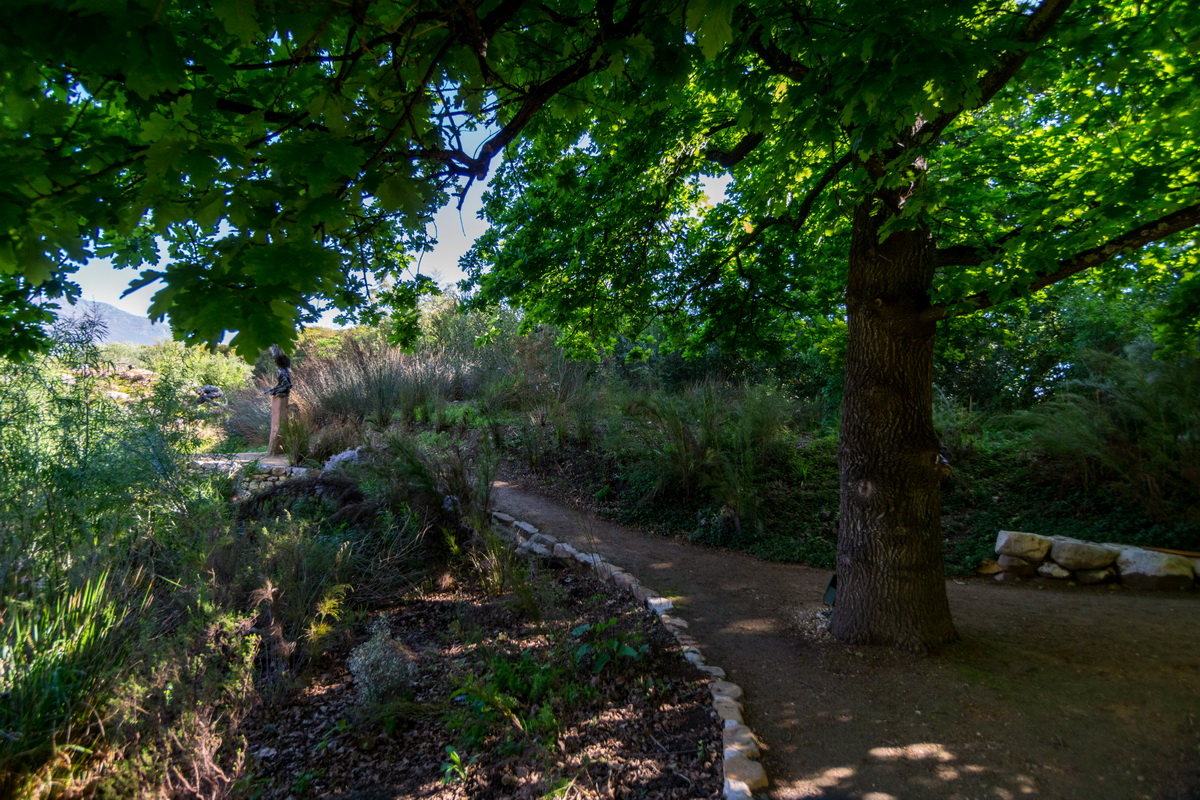 Artists Garden