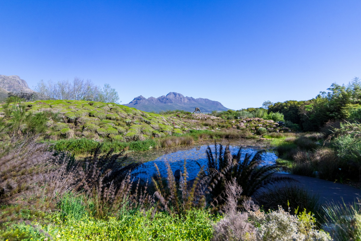 Artists Garden