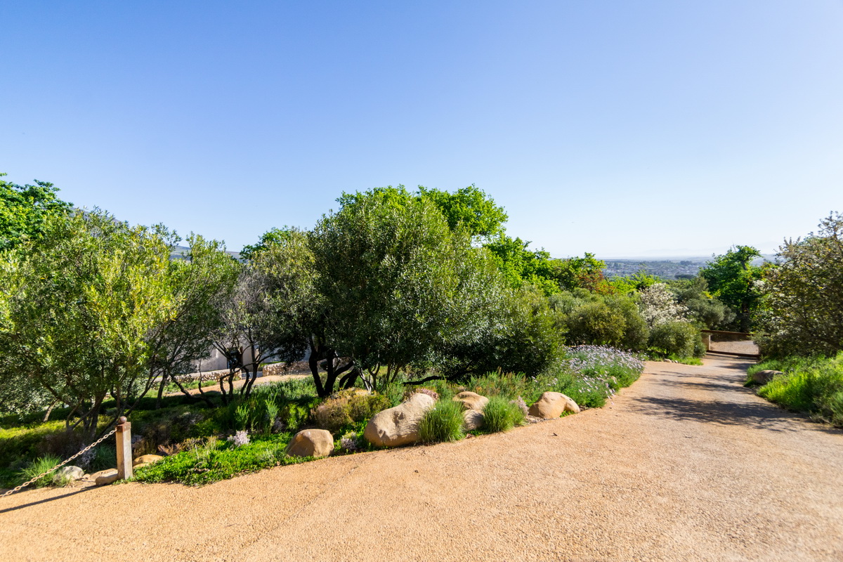 Artists Garden