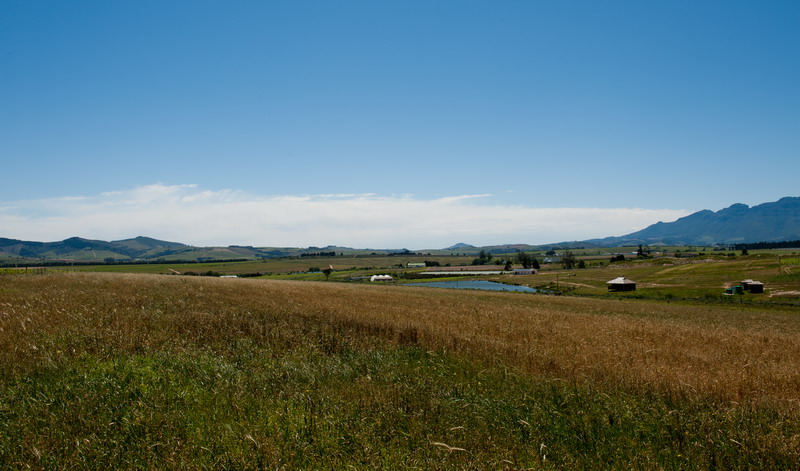 Bontevlei