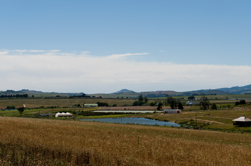 Bontevlei