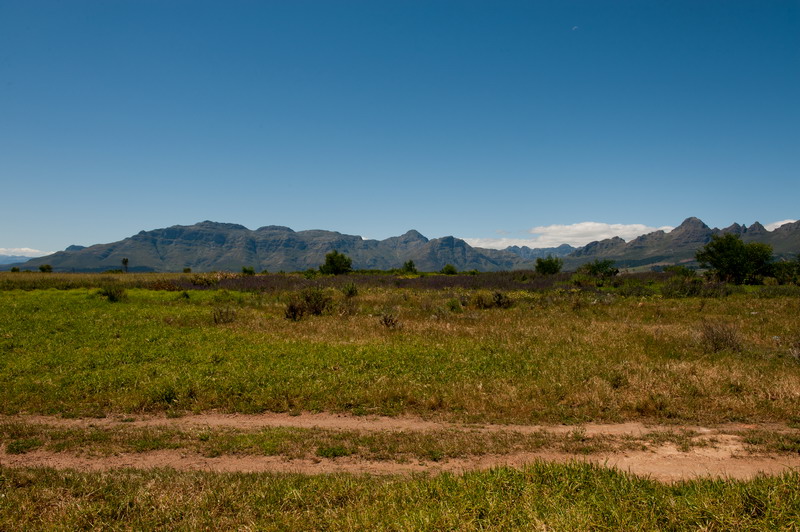 Bontevlei