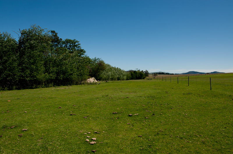 Bontevlei
