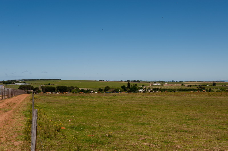 Bontevlei