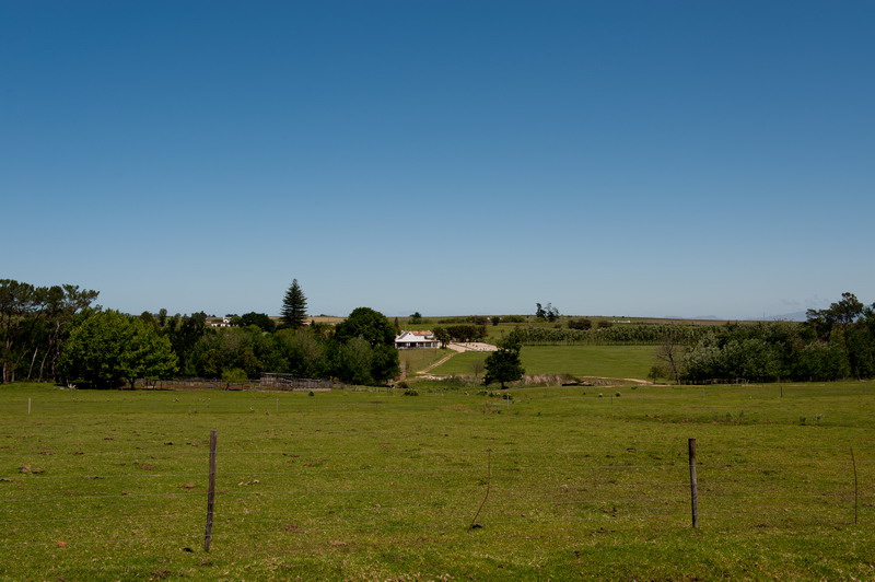 Bontevlei