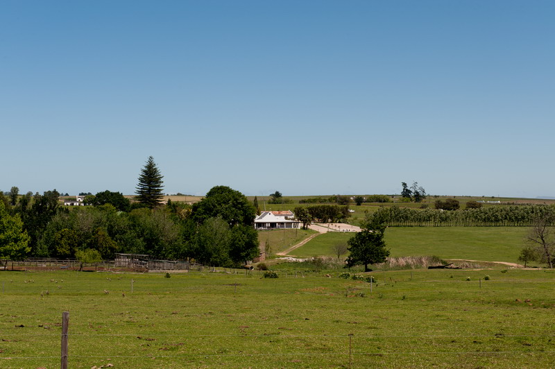 Bontevlei