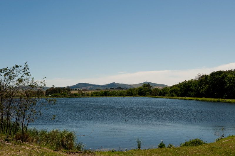Bontevlei