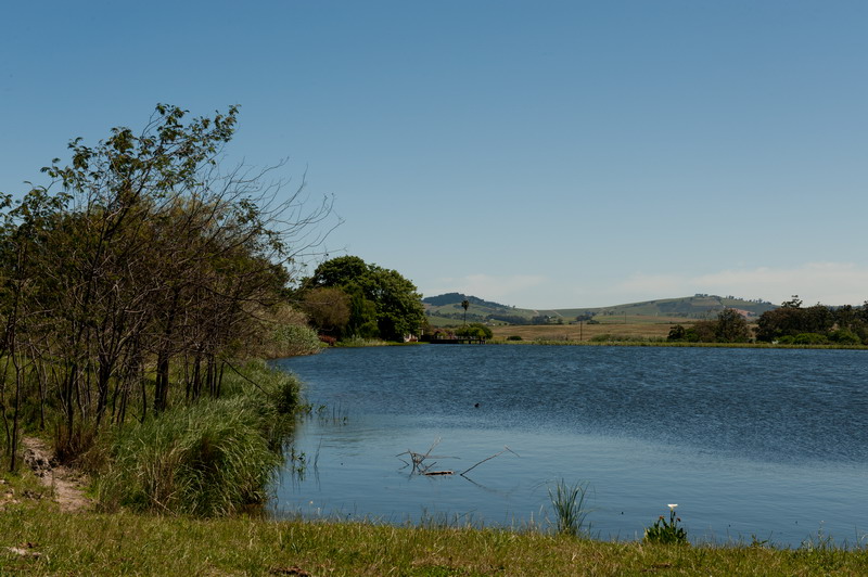 Bontevlei