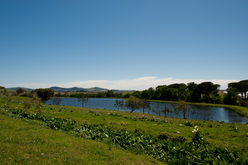 Bontevlei