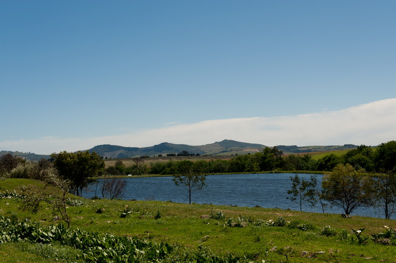 Bontevlei