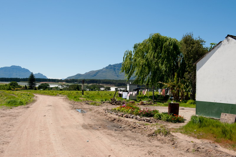 Bontevlei