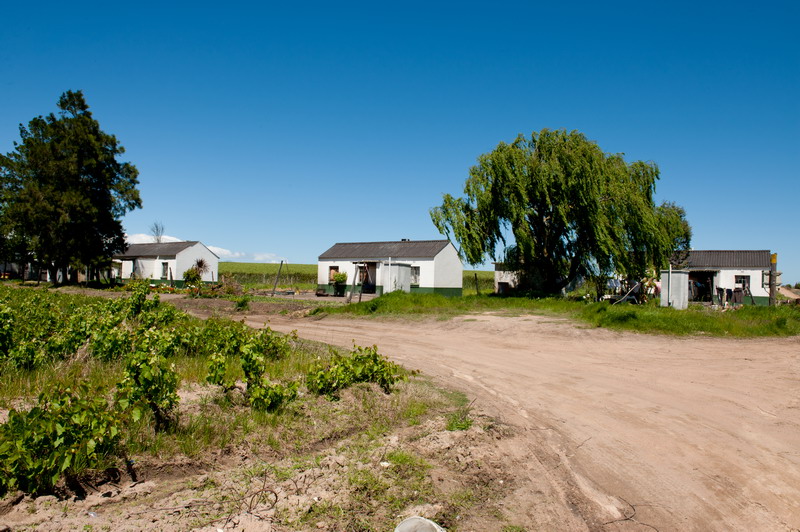 Bontevlei