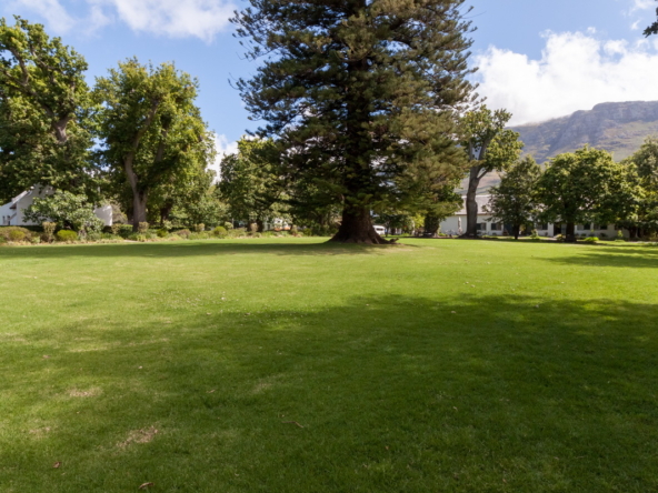 Buitenverwachting