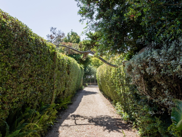 Cedar House AS 2023_056