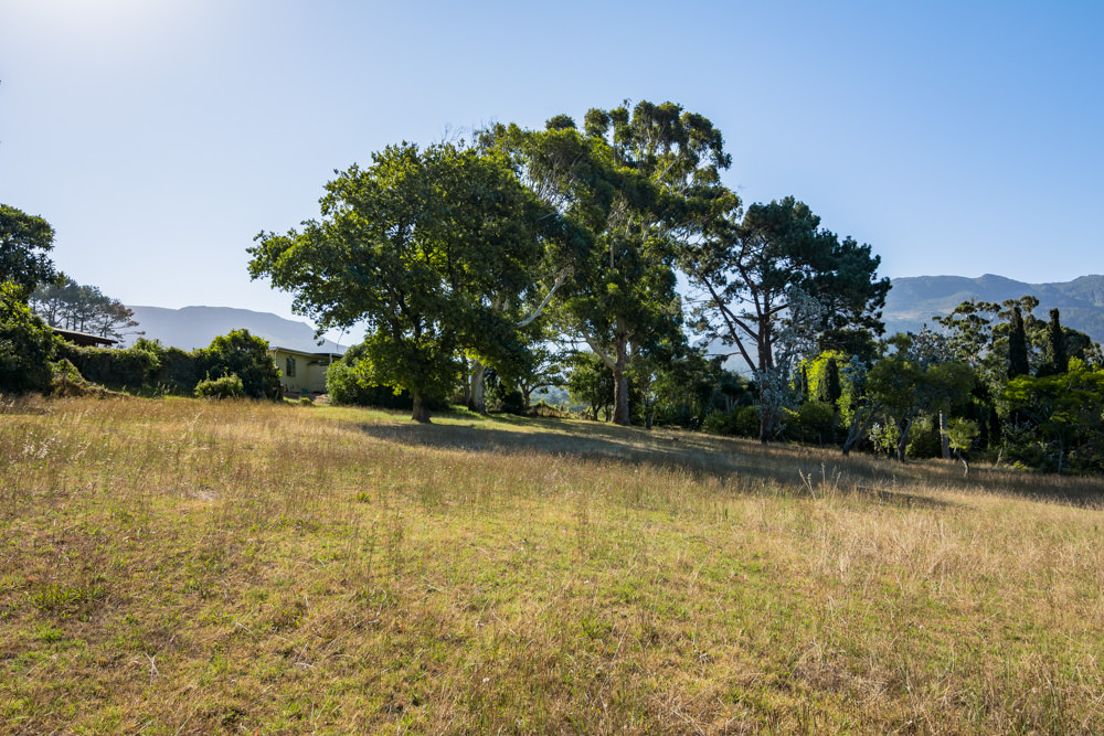Constantia Rise