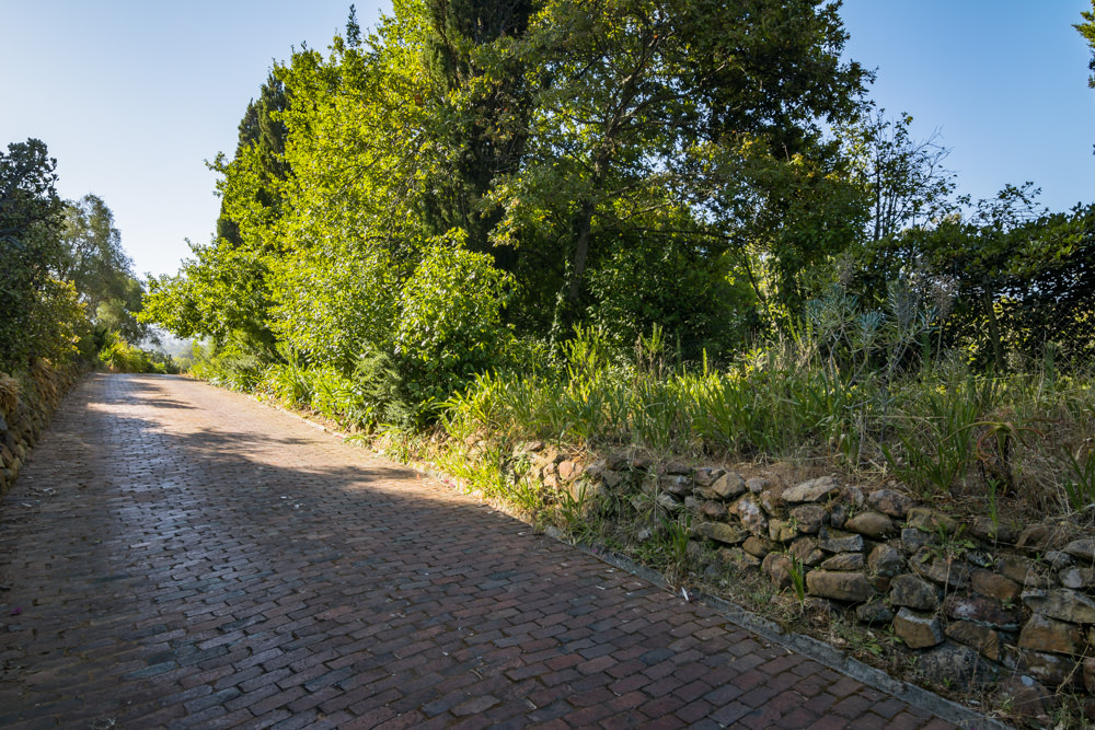 Constantia Rise