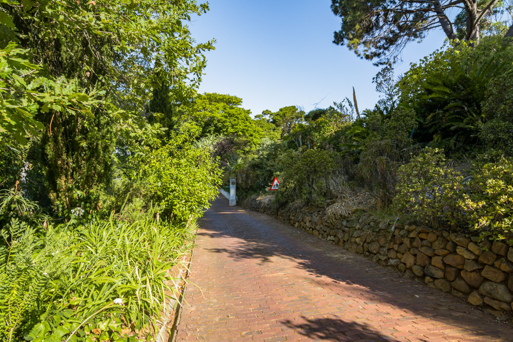 Constantia Rise