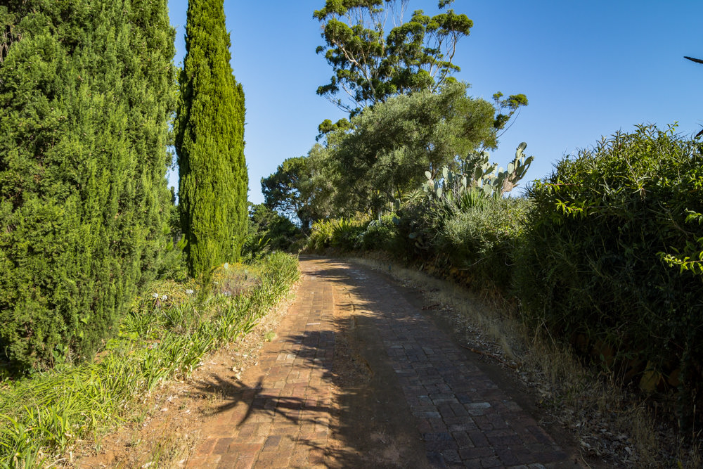Constantia Rise