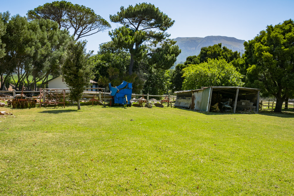 Constantia Rise