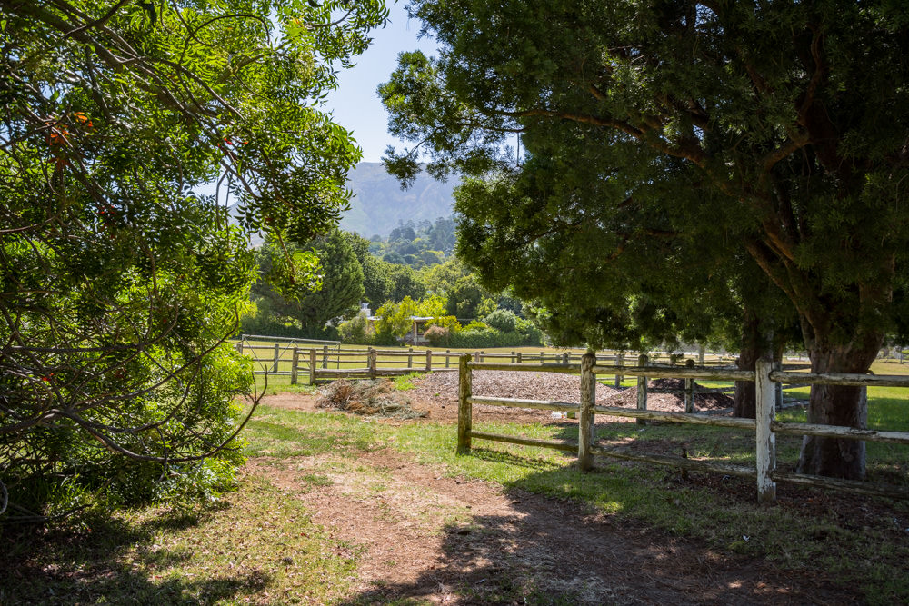 Constantia Rise