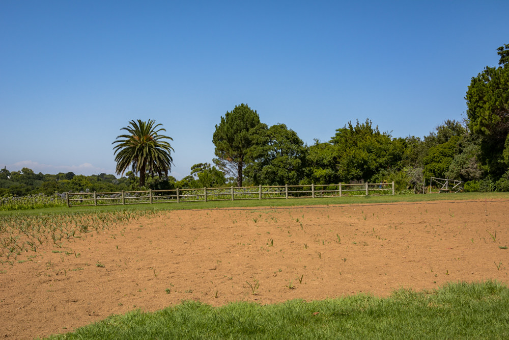 Constantia Rise