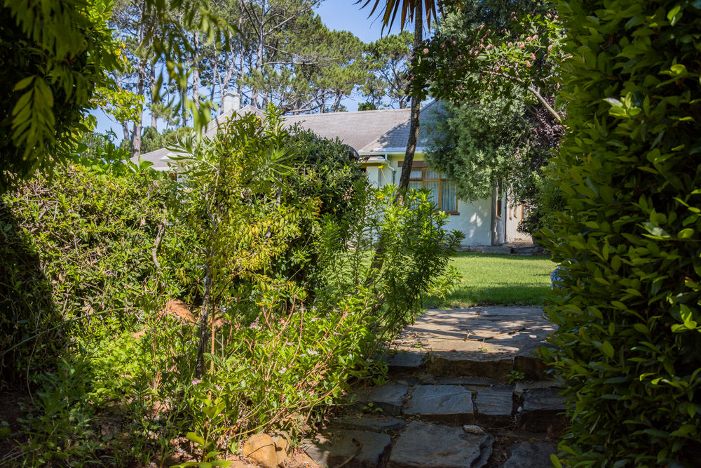 Constantia Rise