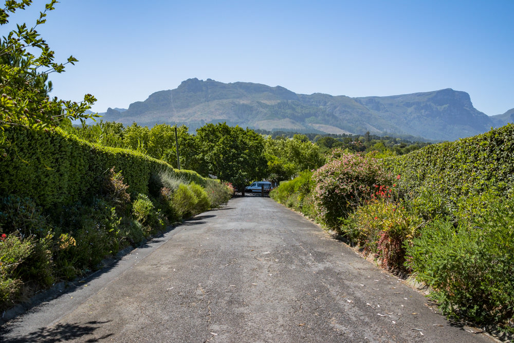 Constantia Rise