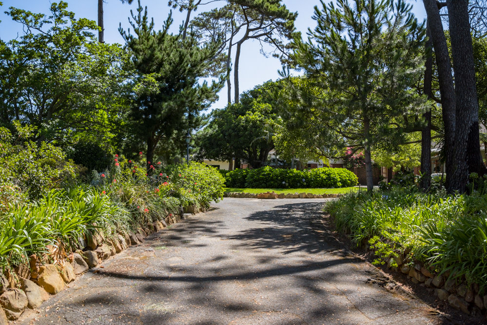 Constantia Rise