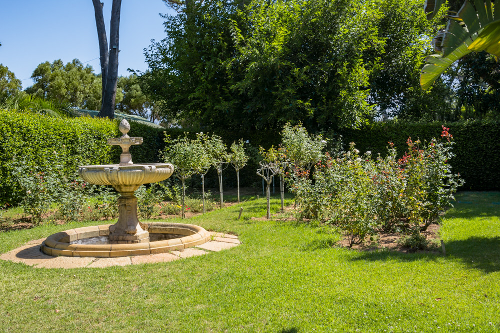 Constantia Rise