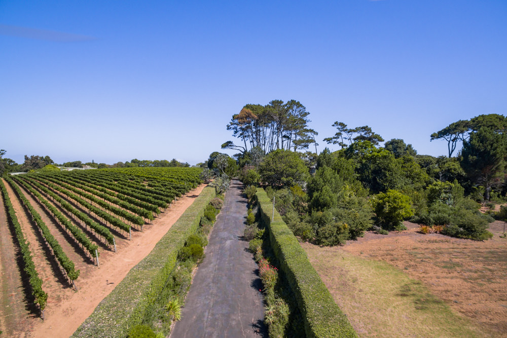 Constantia Rise