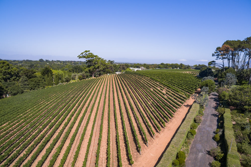 Constantia Rise