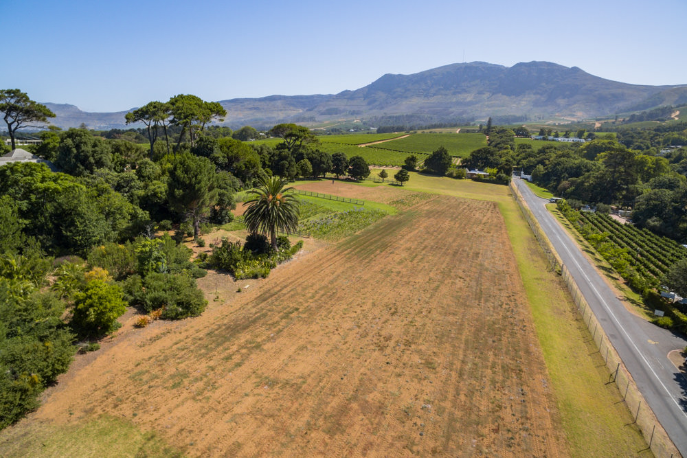 Constantia Rise