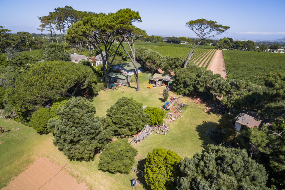Constantia Rise