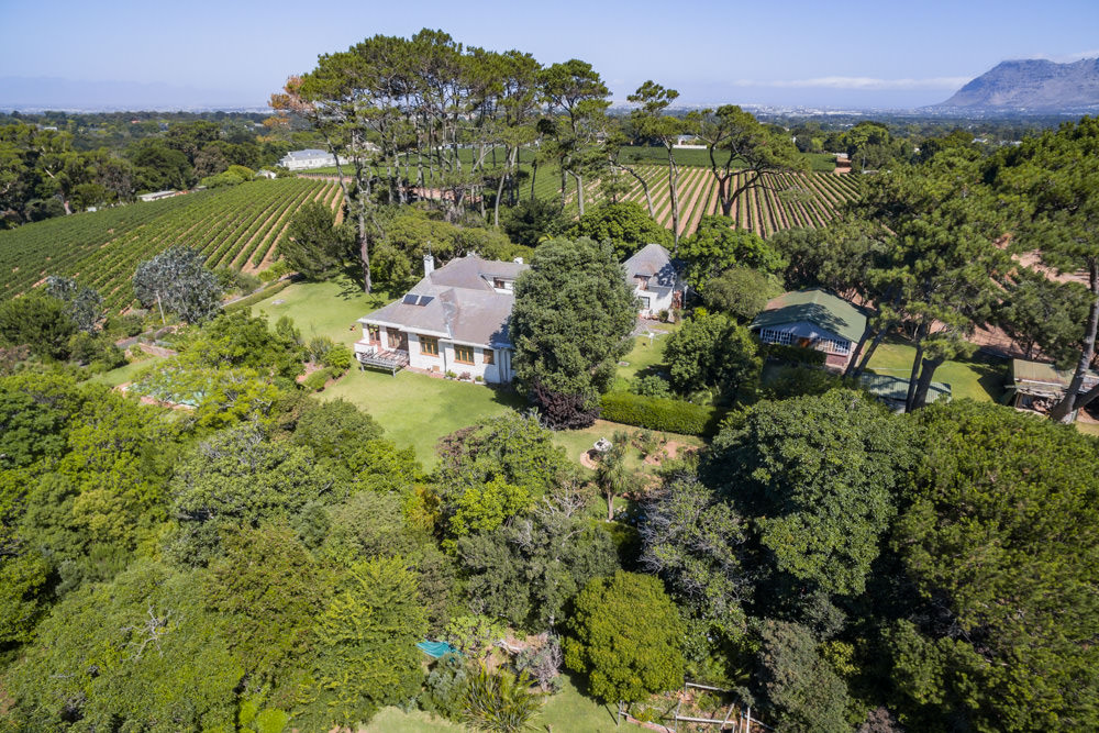 Constantia Rise