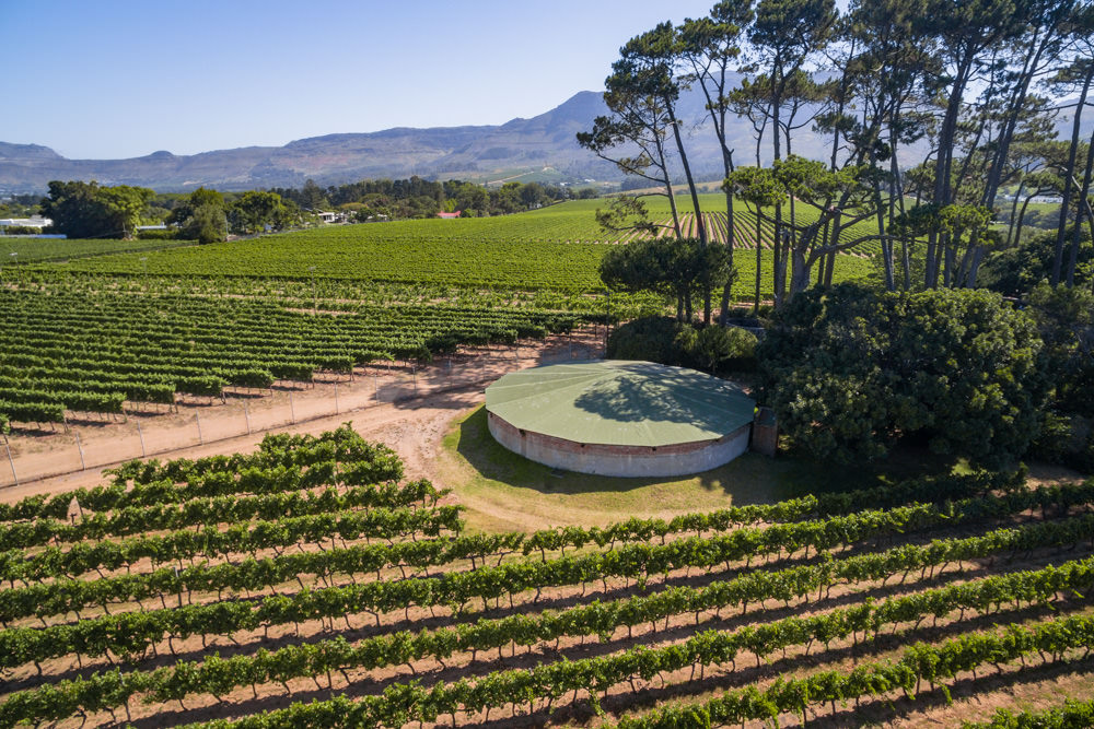 Constantia Rise