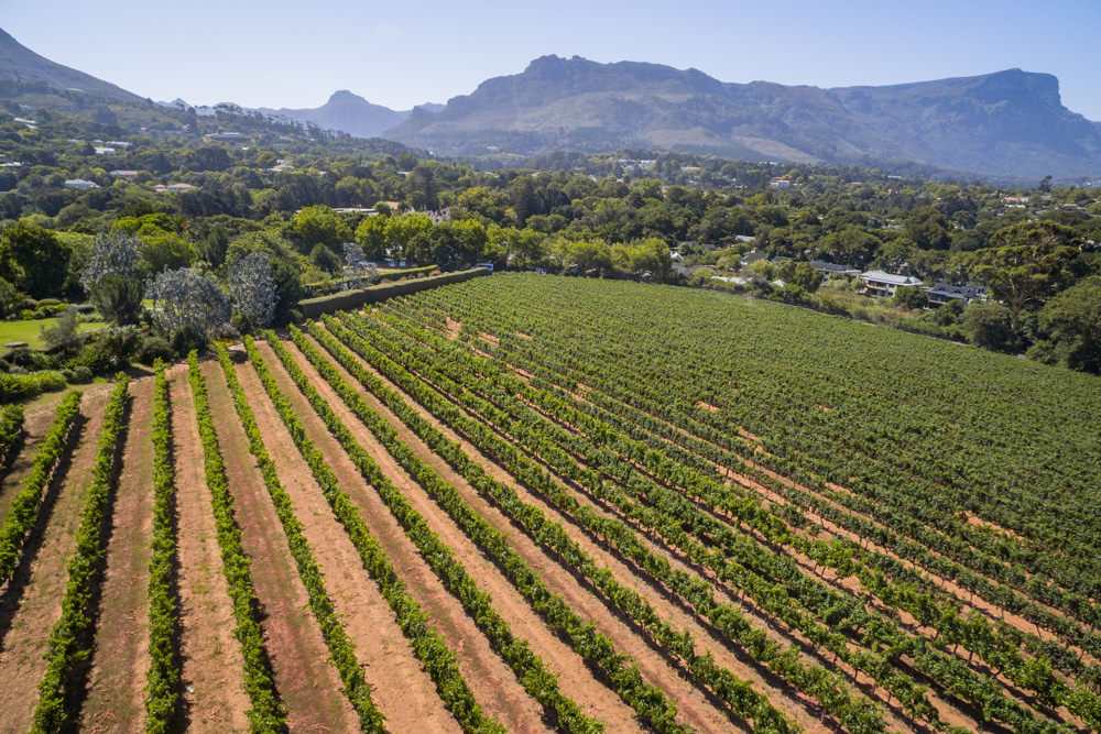 Constantia Rise