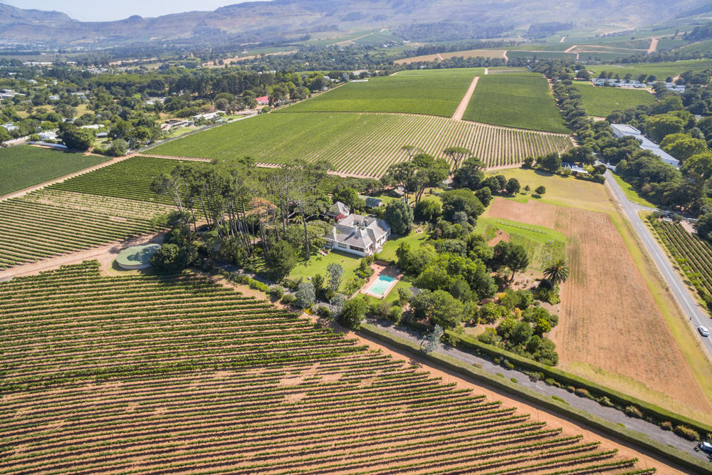 Constantia Rise