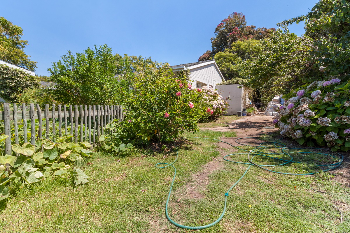 Garden Delight