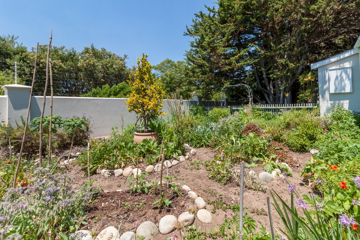 Garden Delight